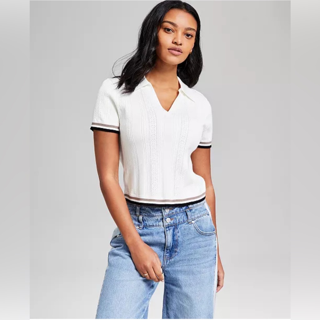 And Now This Petite Pointelle V-Neck Sweater